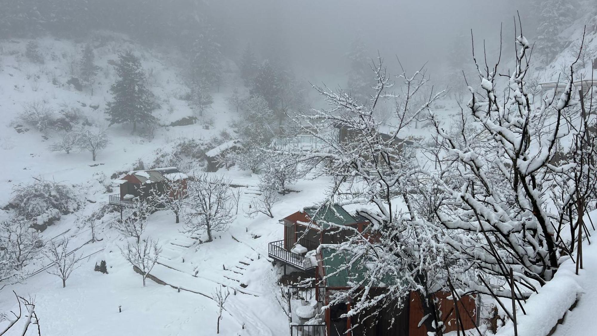 Glass By Urban Monk- Unique Centrally Heated With Electric Blankets Resort Manali (Himachal Pradesh)
