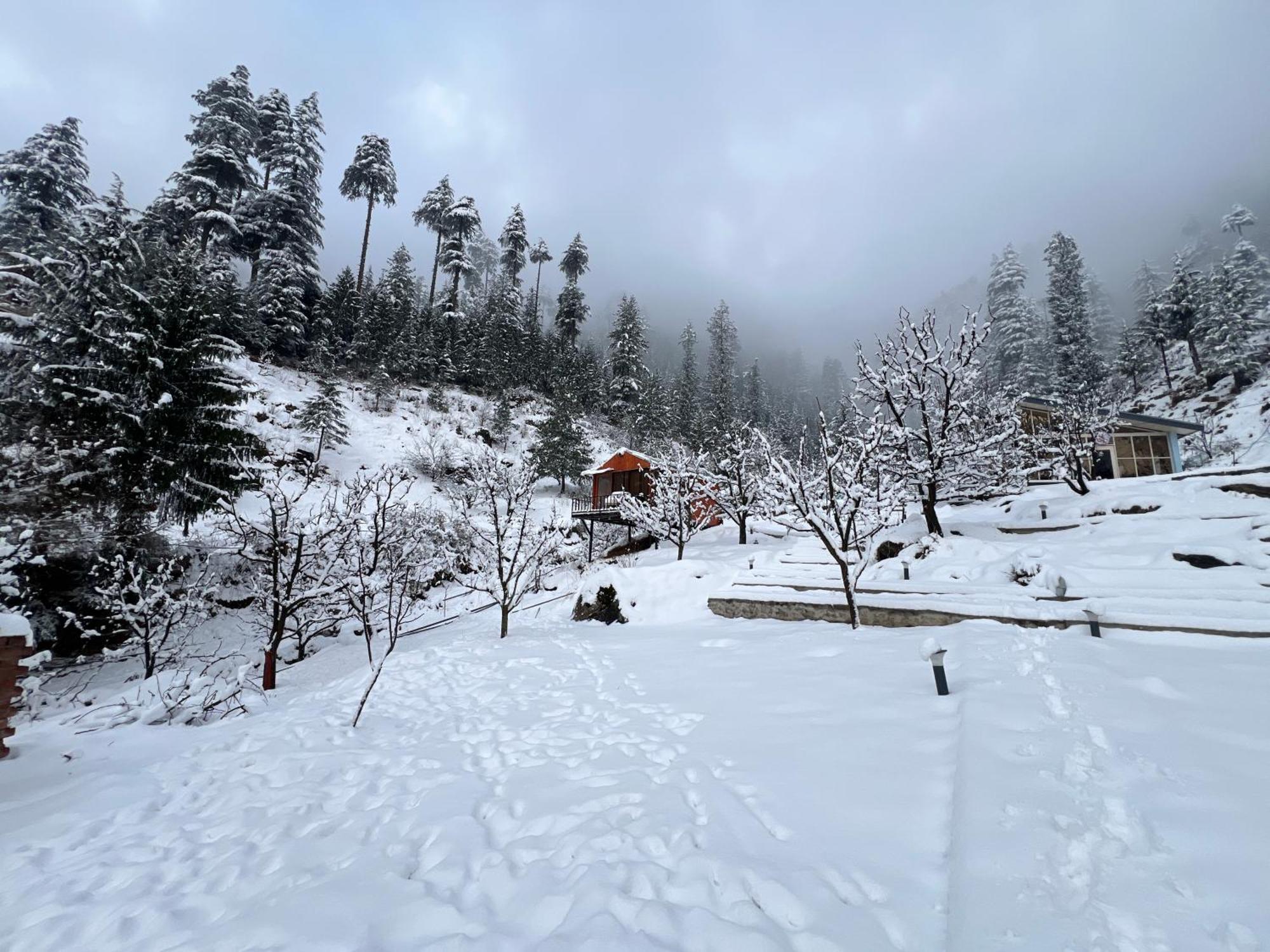 Glass By Urban Monk- Unique Centrally Heated With Electric Blankets Manali (Himachal Pradesh)
